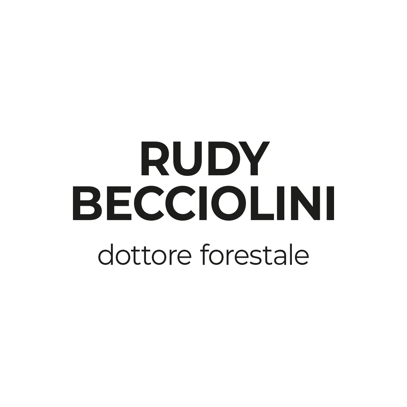 Vai alla pagina dei partner