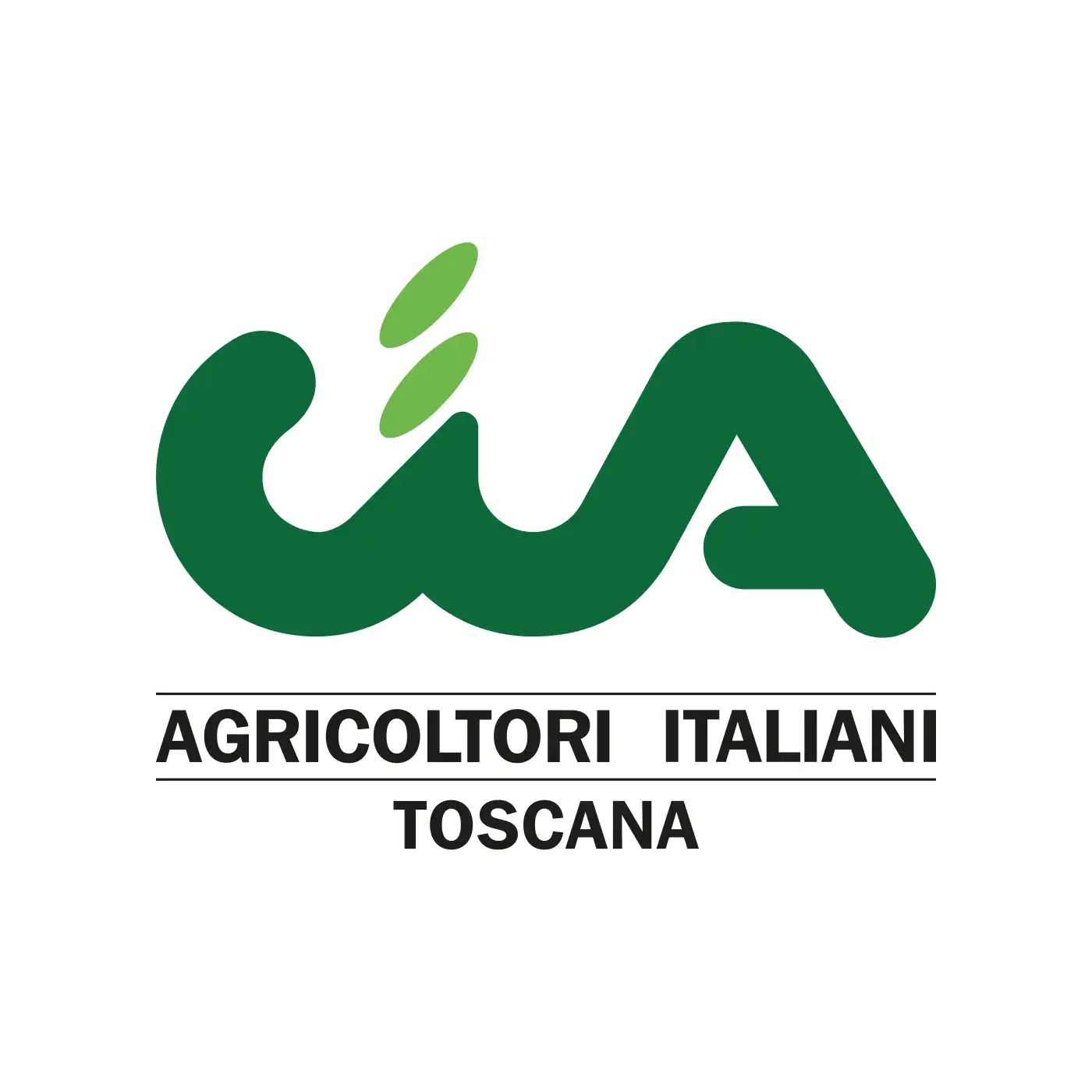 Vai alla pagina dei partner